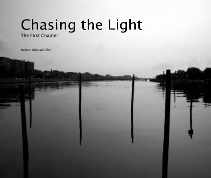 Chasing the Light book cover