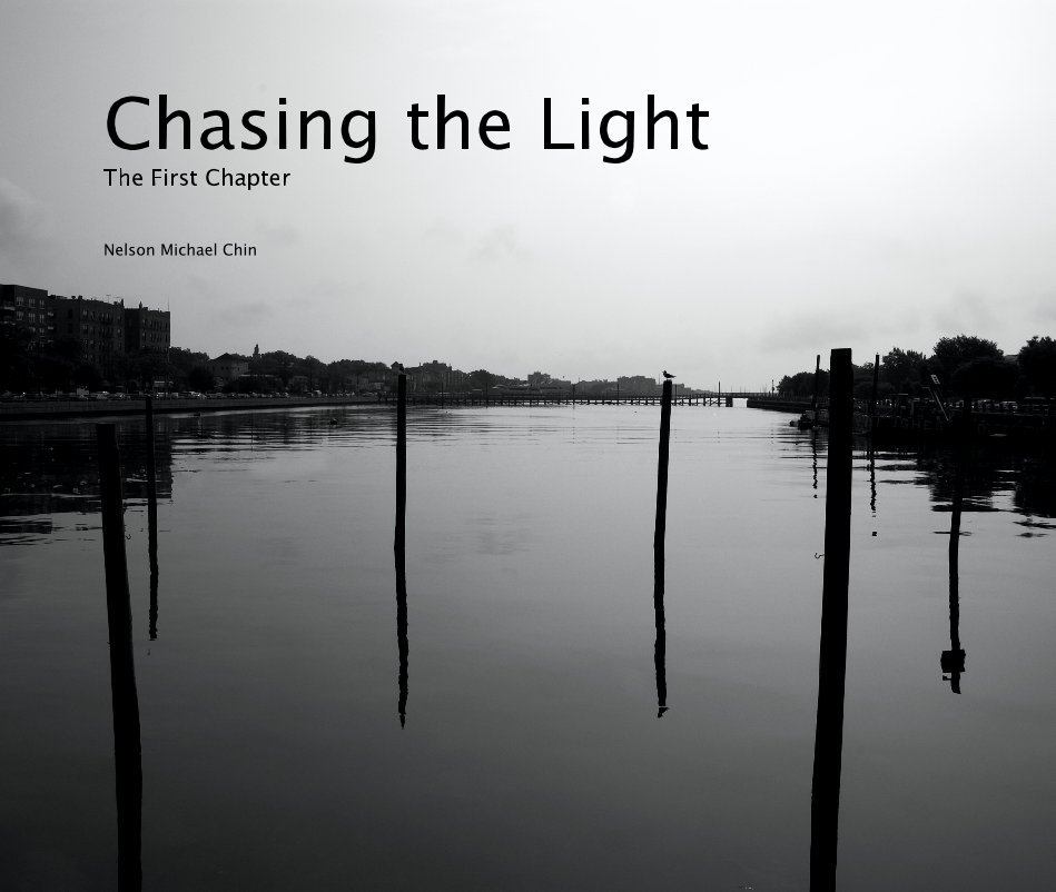 View Chasing the Light by Nelson Michael Chin