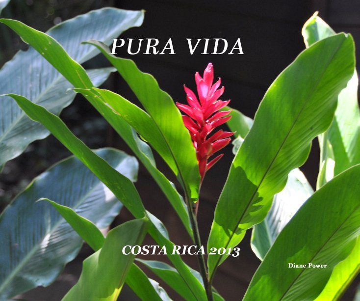 COSTA RICA 2013 nach Diane Power anzeigen