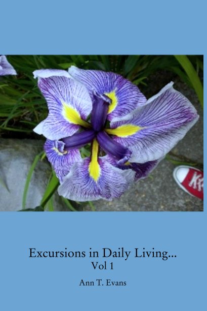 View Excursions in Daily Living... Vol 1 by Ann T. Evans