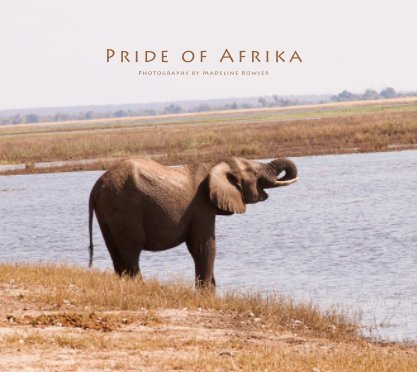 Pride of Afrika book cover