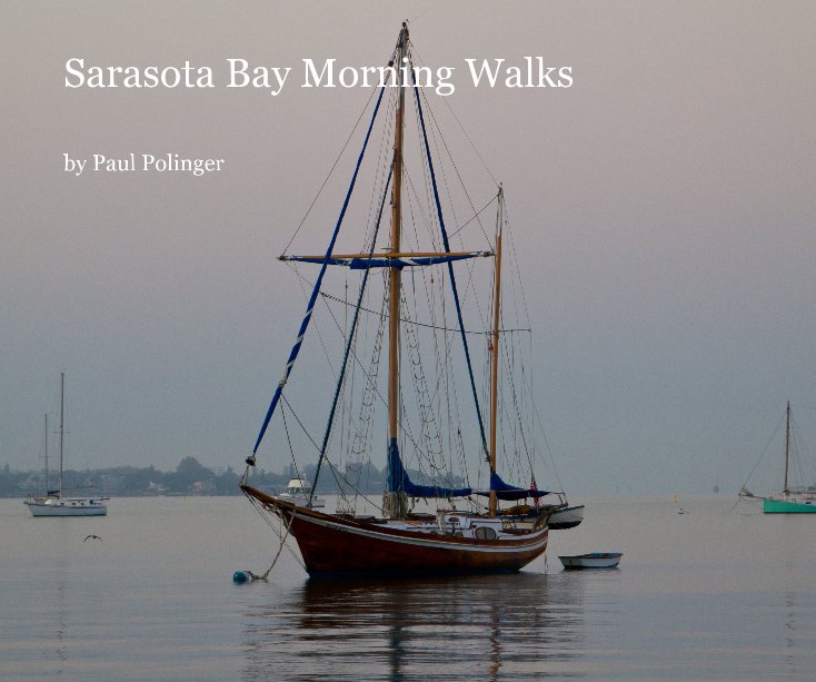 View Sarasota Bay Morning Walks by Paul Polinger