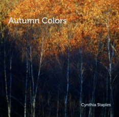 Autumn Colors book cover