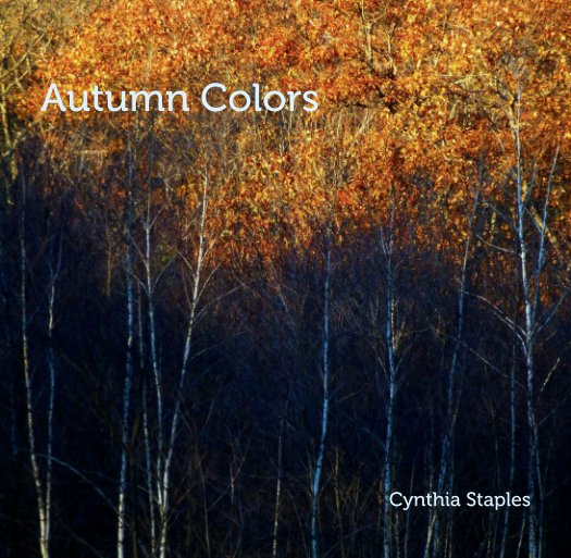 View Autumn Colors by Cynthia Staples