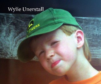 Wylie Unerstall book cover