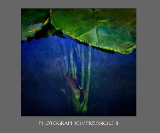 Photographic Impressions II book cover