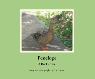Penelope book cover