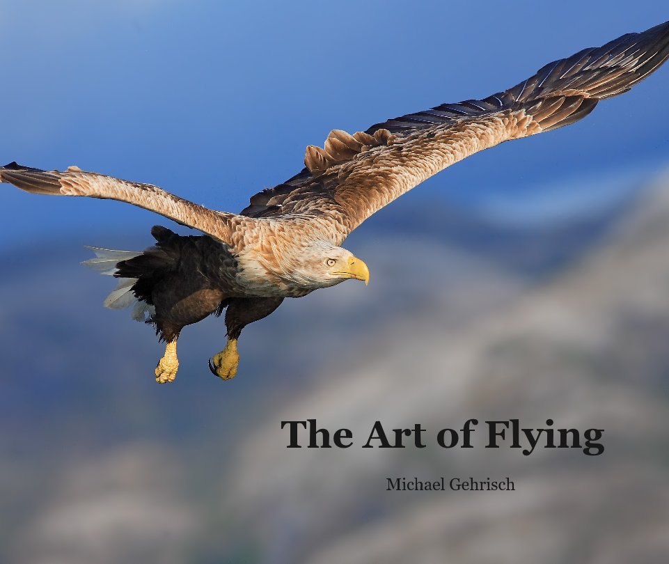 View The Art of Flying by Michael Gehrisch
