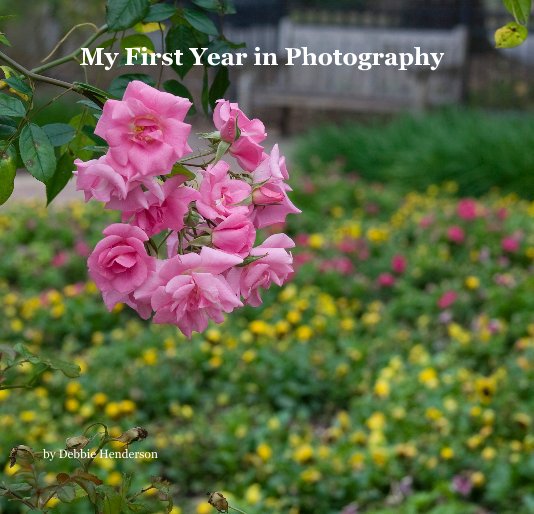View My First Year in Photography by Debbie Henderson
