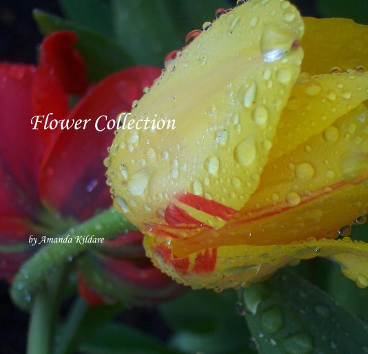 Visualizza Flower Collection di Amanda Kildare
