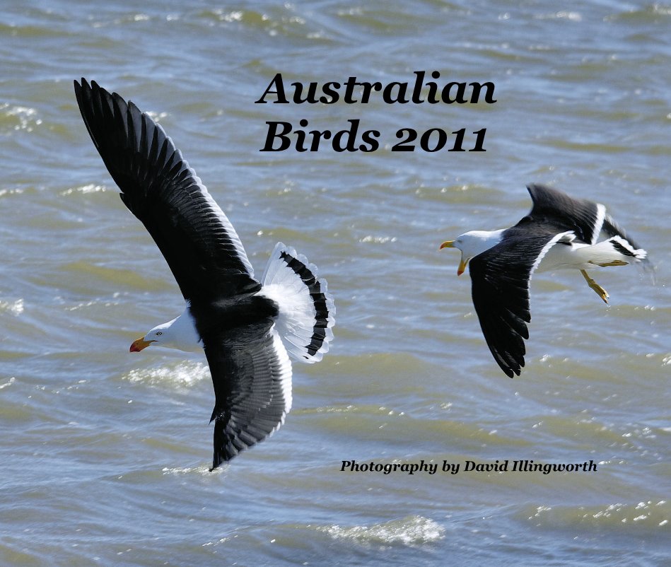 Ver Australian Birds 2011 por Photgraphy by David Illingworth