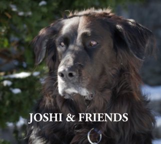 Joshi and Friends book cover