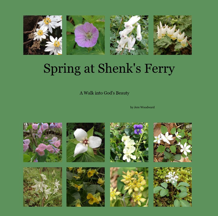 View Spring at Shenk's Ferry by Jere Woodward