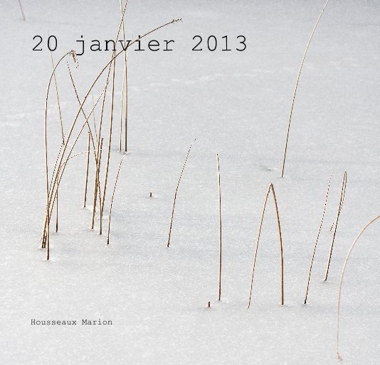 Visualizza 20 janvier 2013 di Housseaux Marion