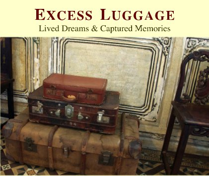 Excess Luggage book cover