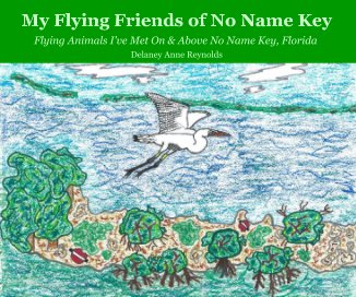 My Flying Friends of No Name Key book cover