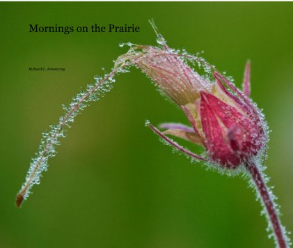 Mornings on the Prairie book cover