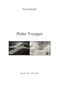 Petits Voyages (Janvier 2012 - Mars 2013) book cover