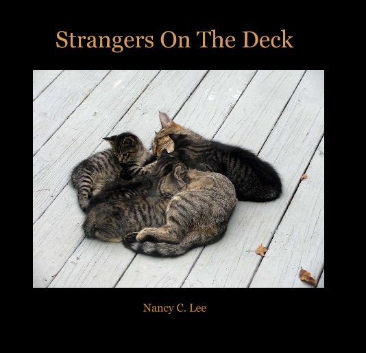 View Strangers On The Deck by Nancy C. Lee