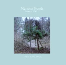Mendon Ponds
                                        Autumn  2012 book cover
