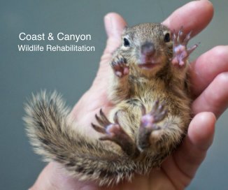 Coast & Canyon Wildlife Rehabilitation book cover