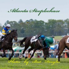 Steeplechase book cover