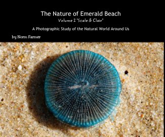 The Nature of Emerald Beach Volume 2 "Scale & Claw" book cover