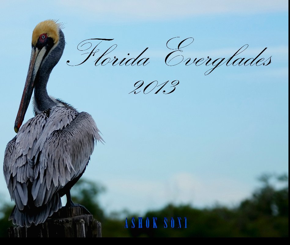 Ver Florida Everglades por Ashok Soni