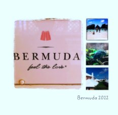 Bermuda 2012 book cover
