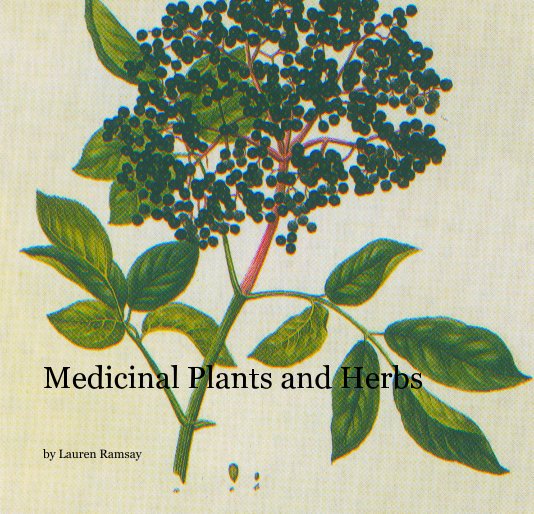 View Medicinal Plants and Herbs by Lauren Ramsay