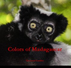 Colors of Madagascar book cover
