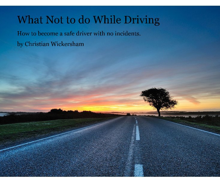 View What Not to do While Driving by Christian Wickersham