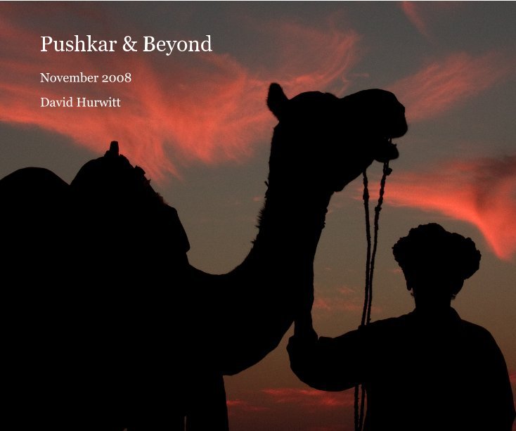 View Pushkar & Beyond by David Hurwitt