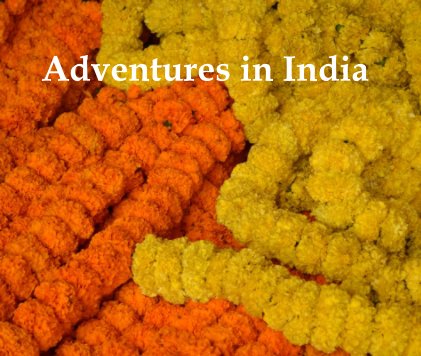 Adventures in India book cover