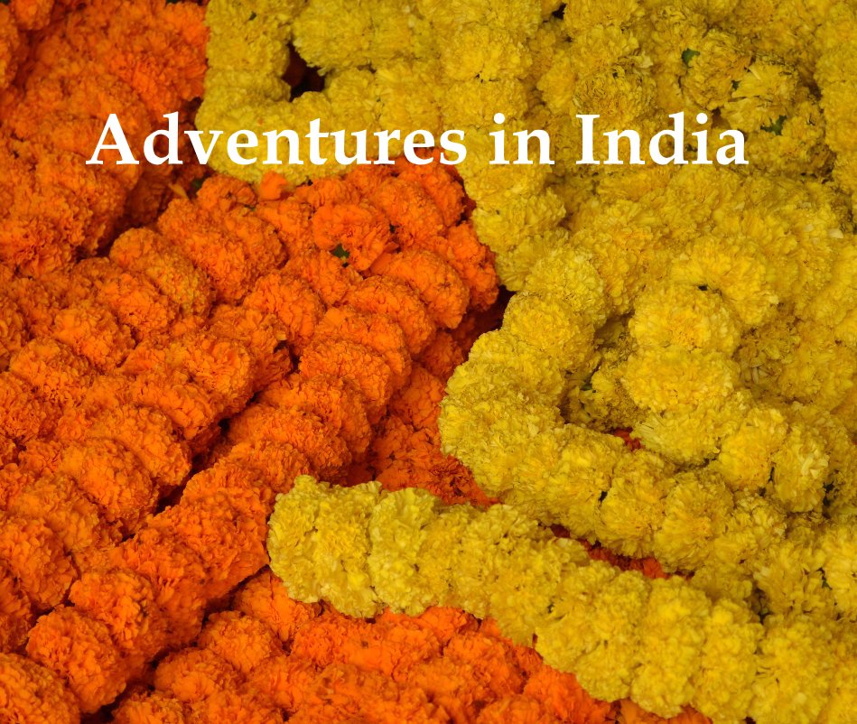 Bekijk Adventures in India op jenspoon
