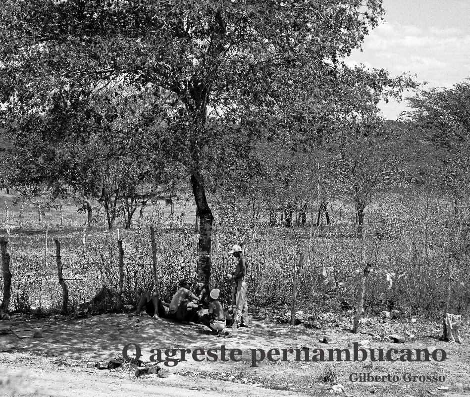 View O agreste pernambucano by Gilberto Grosso