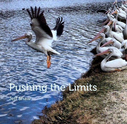 Ver Pushing the Limits por Jeff Shaw