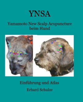 YNSA book cover