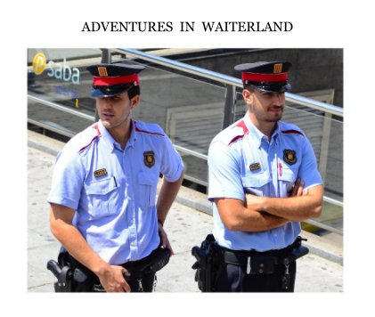 ADVENTURES IN WAITERLAND book cover