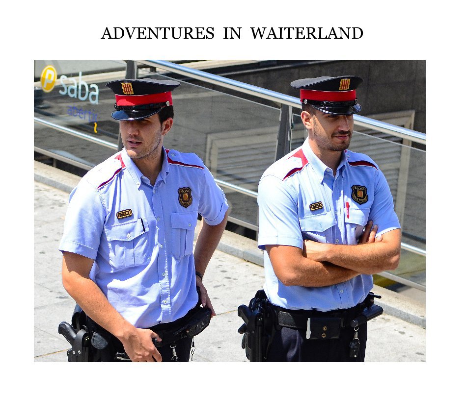 View ADVENTURES IN WAITERLAND by PETER MANNS