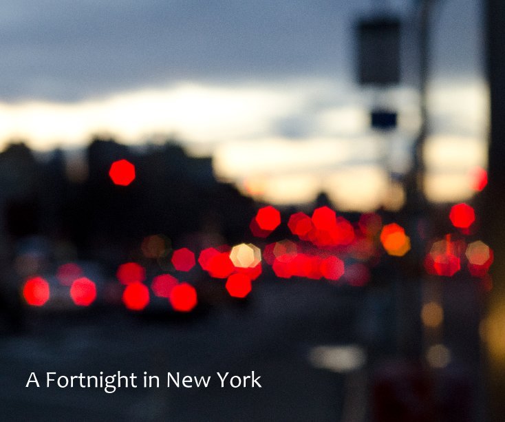 Ver A Fortnight in New York por Peter Westerhof