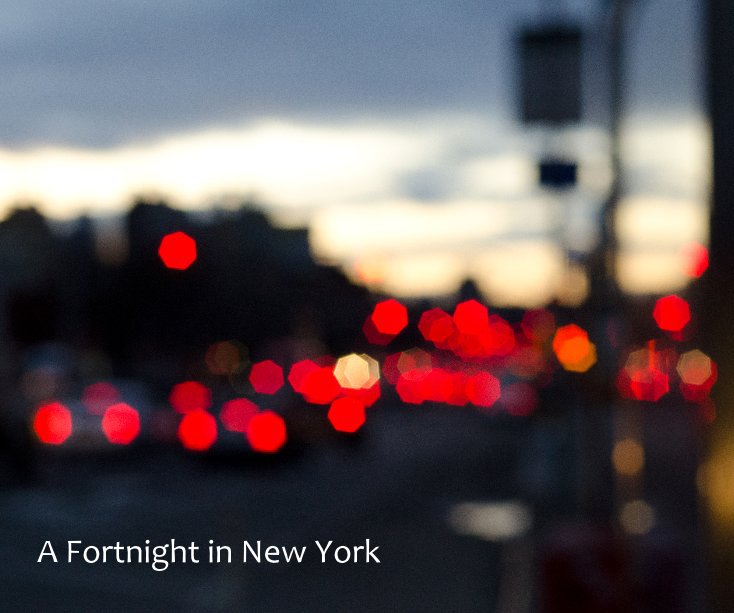 View A Fortnight in New York by Peter Westerhof