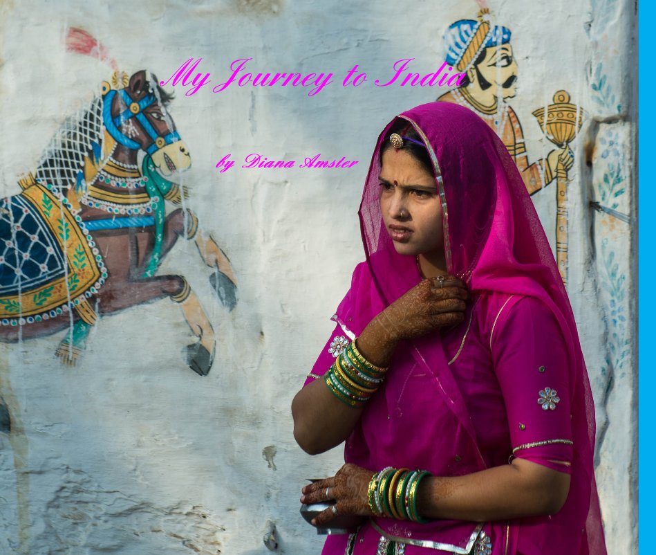 View My Journey to India by Diana Amster