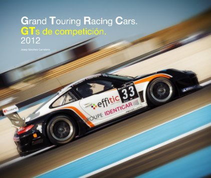 Grand Touring Racing Cars. GTs de competición. 2012 book cover