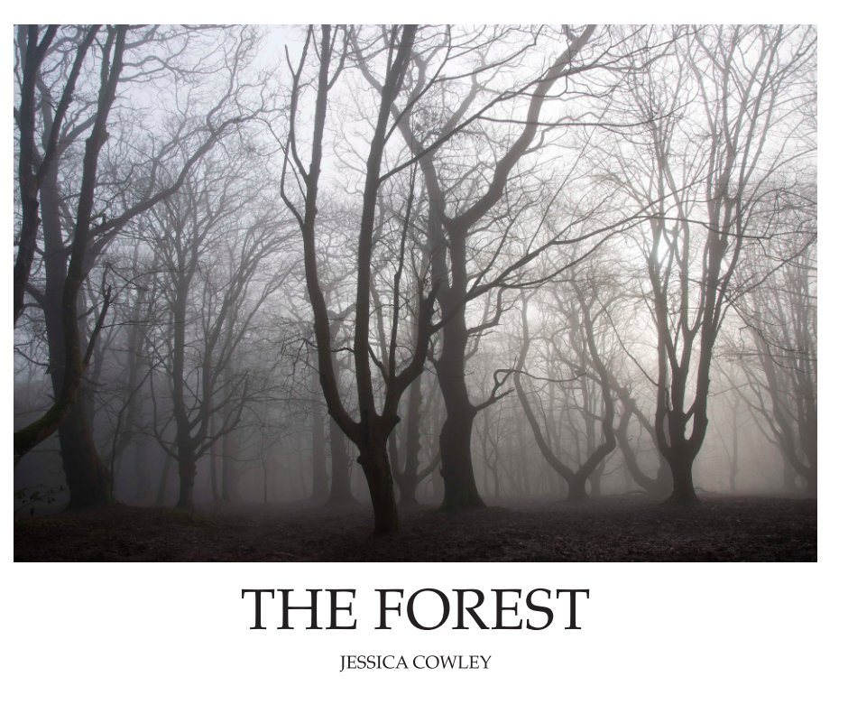 View The Forest by Jessica Cowley
