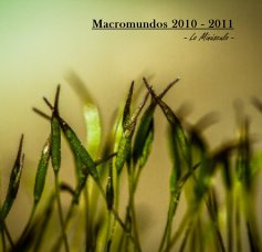 Macromundos 2010 - 2011 - Lo Minúsculo - book cover