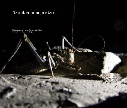 Namibia in an instant book cover