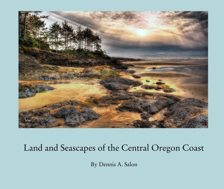 View Land and Seascapes of the Central Oregon Coast by Dennis A. Salon