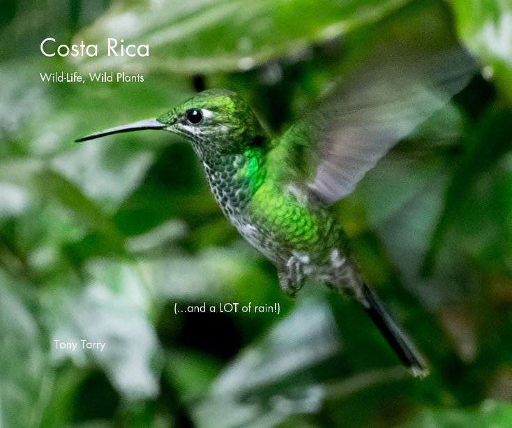 View Costa Rica by Tony Tarry