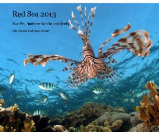 Red Sea 2013 book cover